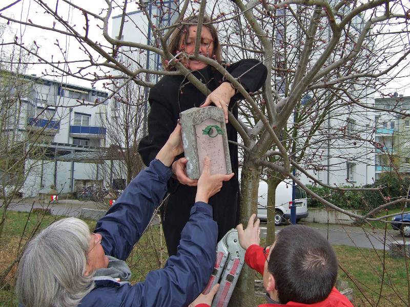 08 03 08 007a.jpg - Mit vereinten Kr�ften wird der erste Kasten in Stellung gebracht ...